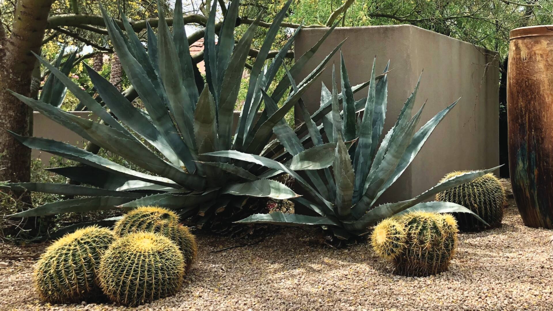 Quién es Steve Martino, el paisajista consagrado que transformó el desierto de Arizona