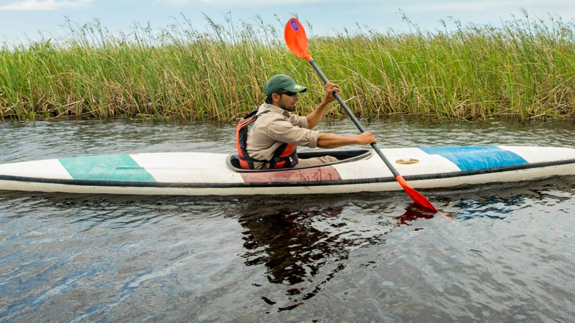 Ecoturismo: dos opciones para conocer Iberá