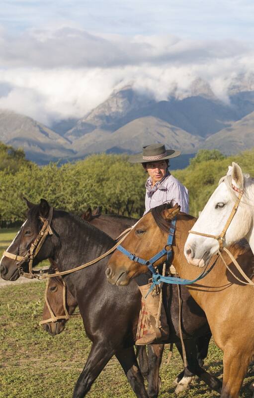 Un paraíso biodinámico en el Valle de Traslasierra