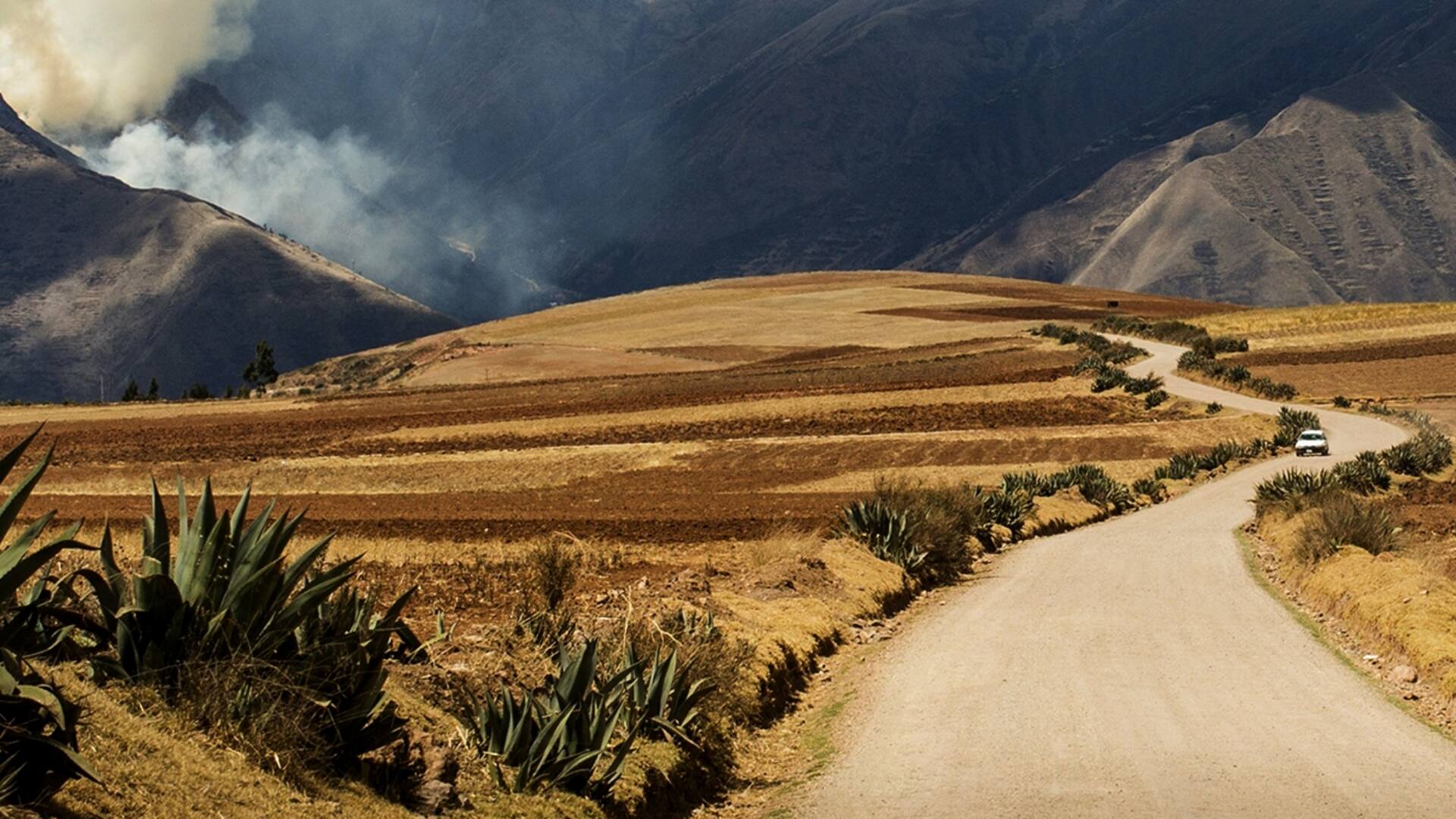 Palabras que dan la vuelta al mundo