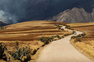 Palabras que dan la vuelta al mundo