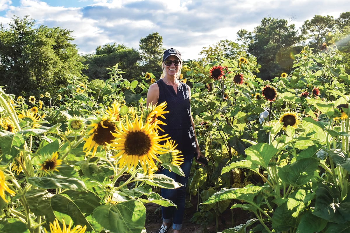 Cómo cultivar tus propios girasoles en el jardín