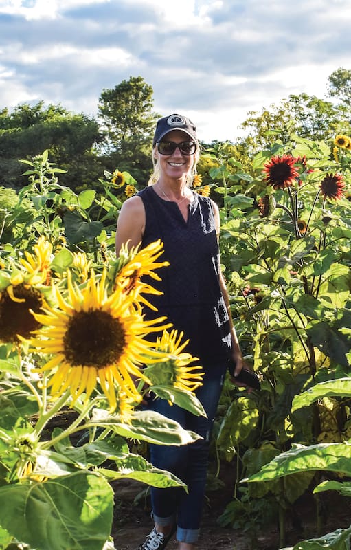 Cómo cultivar tus propios girasoles en el jardín