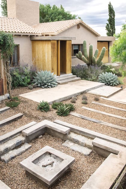 Un jardín de cactus y suculentas que resiste con elegancia condiciones climáticas extremas