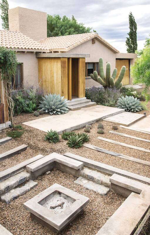 Un jardín de cactus y suculentas que resiste con elegancia condiciones climáticas extremas