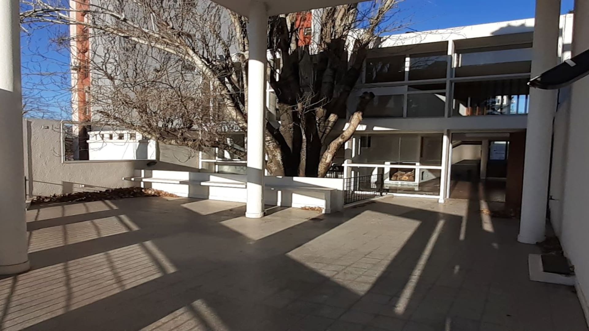 Casa Curutchet, la obra maestra de Le Corbusier en La Plata