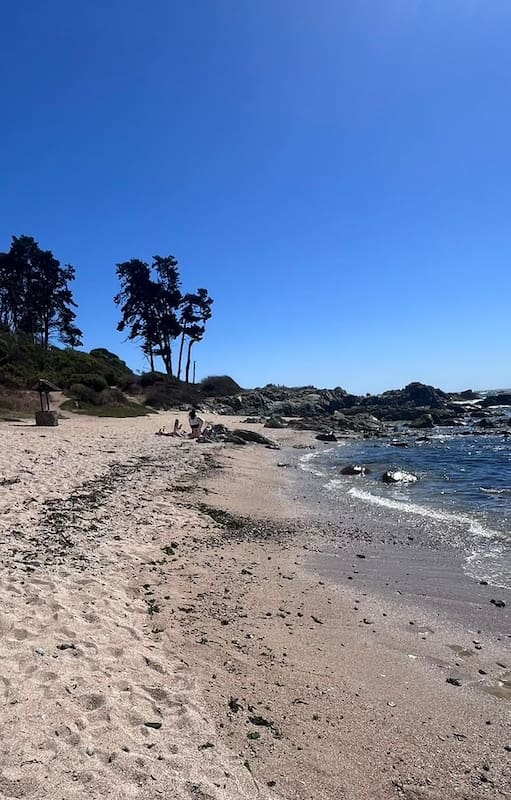 Papudo, la playa chilena donde los argentinos encuentran la tranquilidad que Viña del Mar no les da