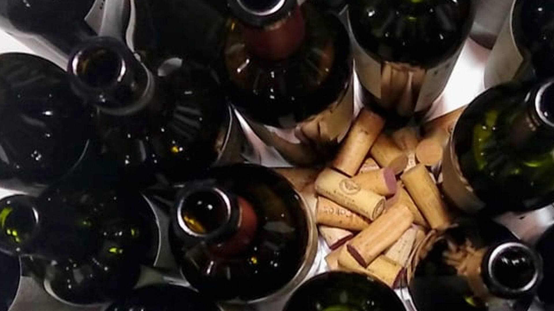 Menos de 500 pesos. Cómo armar un drink team accesible con vinos nuevos