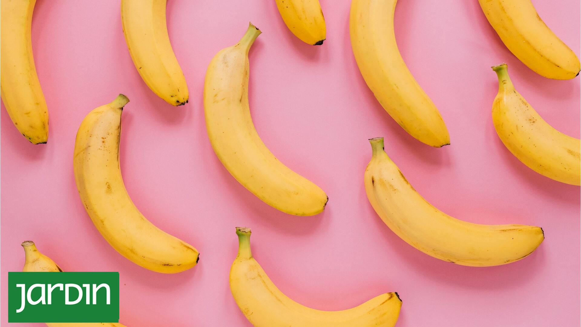 Por qué guardar las cáscaras de banana te va a hacer ahorrar plata y reducir desechos