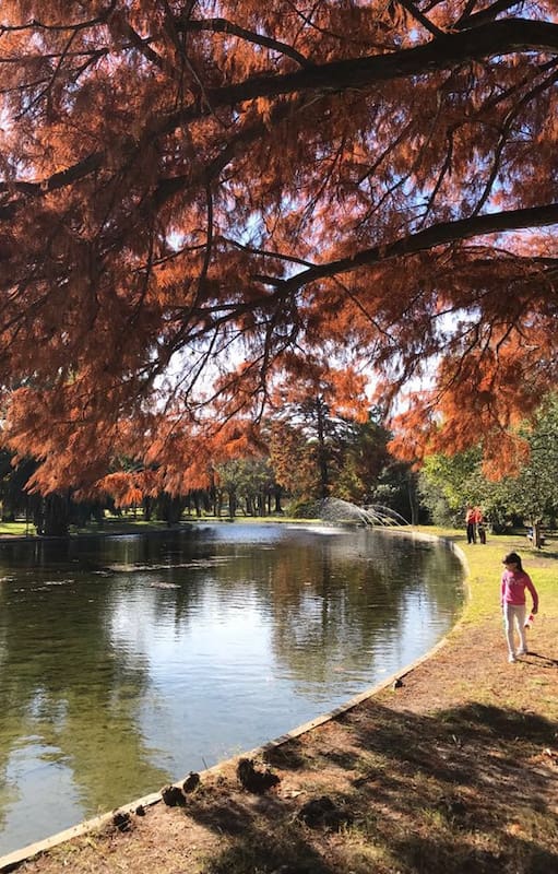 4 clubes de Buenos Aires para disfrutar en familia y al aire libre