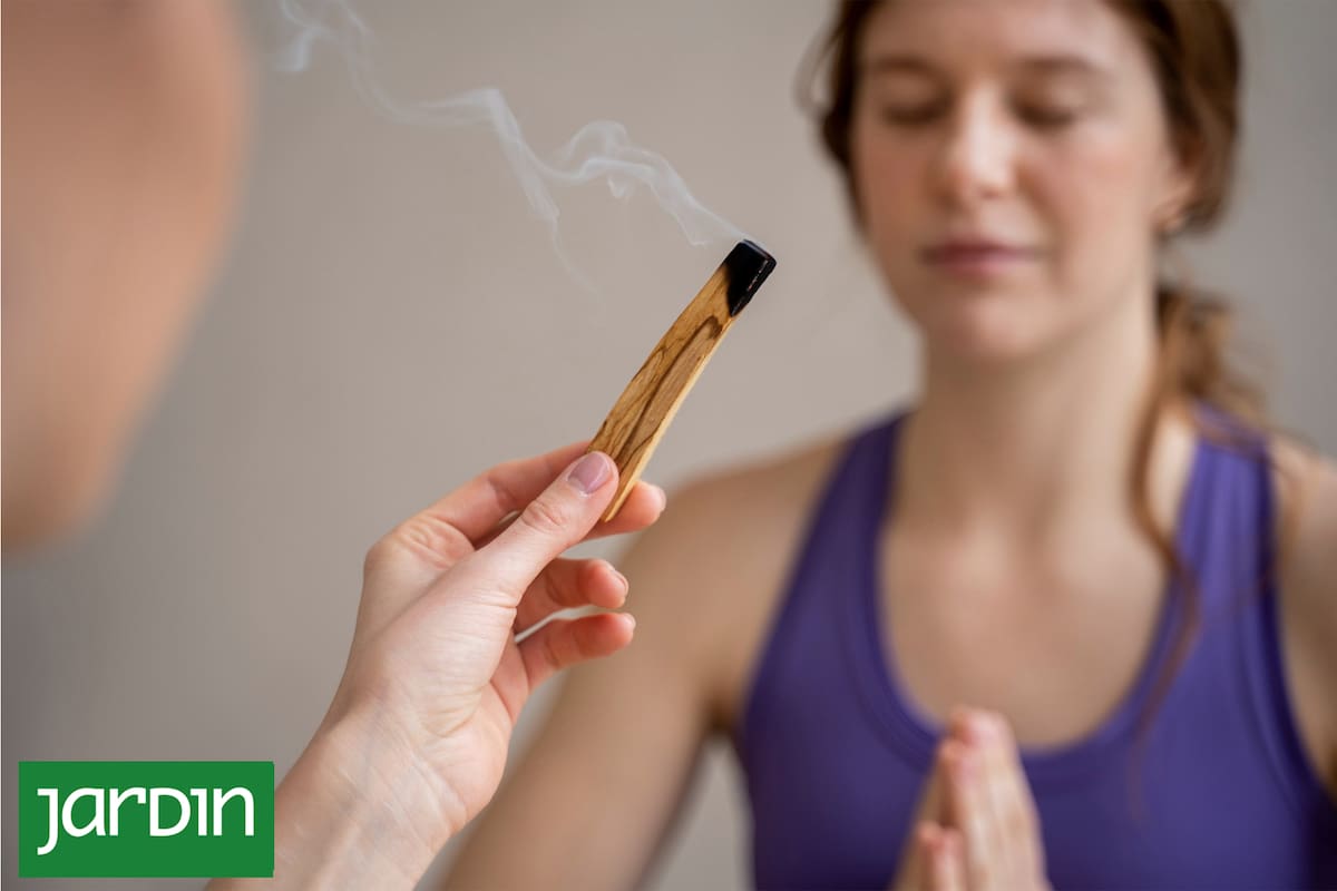 Palo Santo, la madera sagrada que atrae la buena energía y abundancia en el hogar