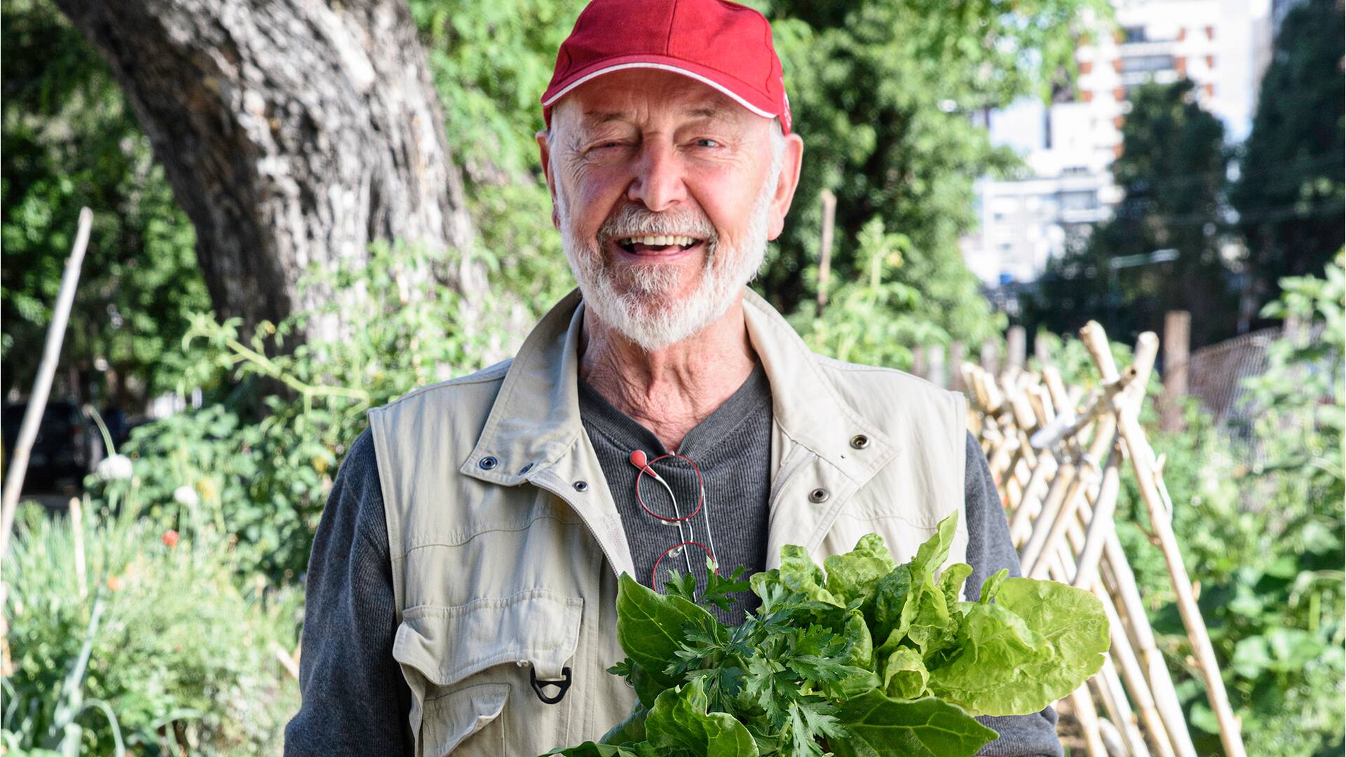 Cultivá longevidad: La inesperada actividad que promete una vida más larga y saludable