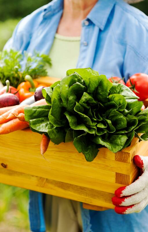 Seis verduras que puedo sumar a la huerta para comer saludable