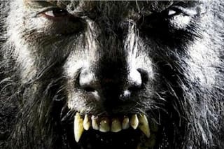 Sobre lobisones y otros monstruos
