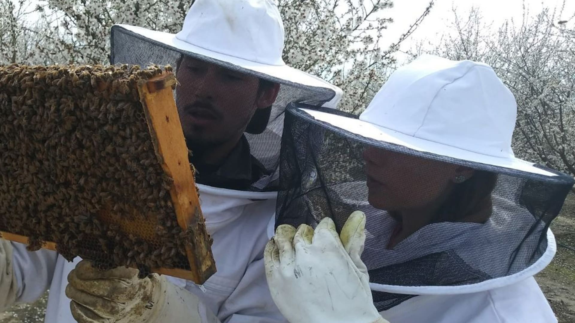 Matías Viel, entrenador de abejas
