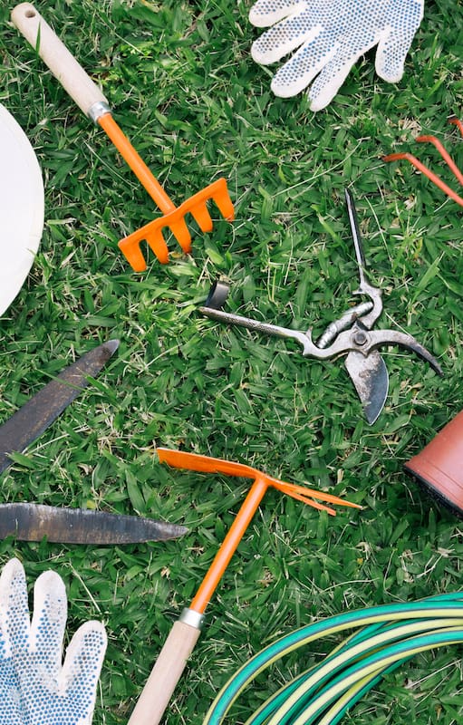 ¿Cómo preparar el jardín para la primavera?
