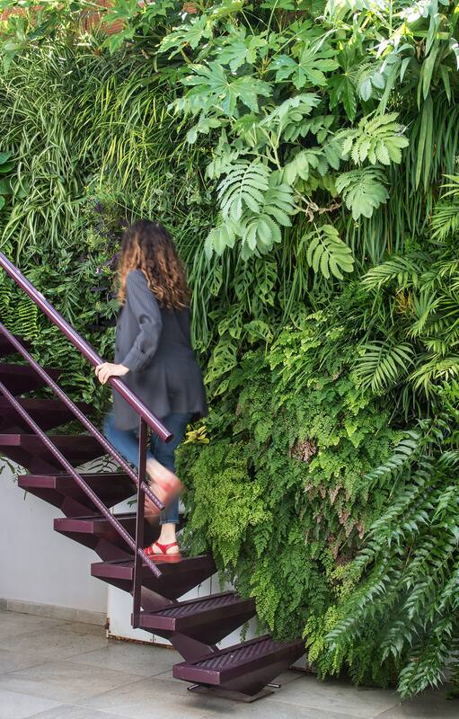 Cómo hacer un jardín vertical