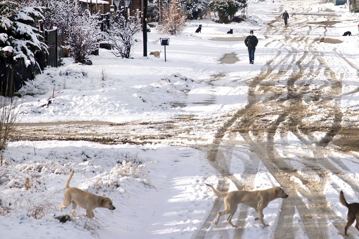Bariloche: con tiempo para contemplar paisajes únicos y jugar en la nieve