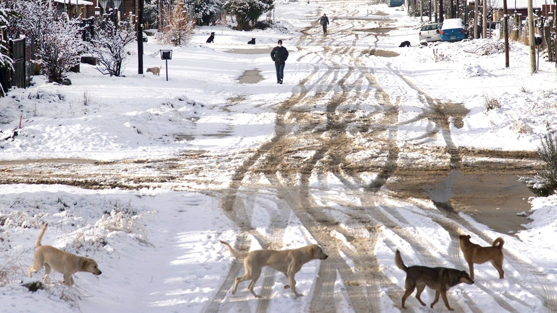 Bariloche: con tiempo para contemplar paisajes únicos y jugar en la nieve