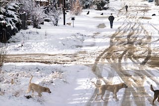 Bariloche: con tiempo para contemplar paisajes únicos y jugar en la nieve