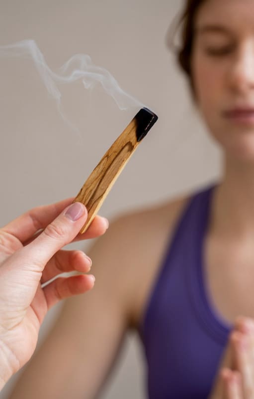 Palo Santo, la madera sagrada que atrae la buena energía y abundancia en el hogar