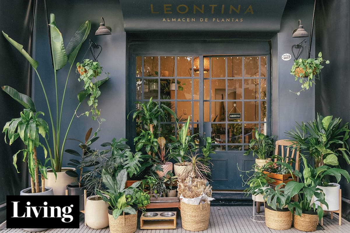 Creó un vivero boutique para que decorar con plantas fuera más sencillo