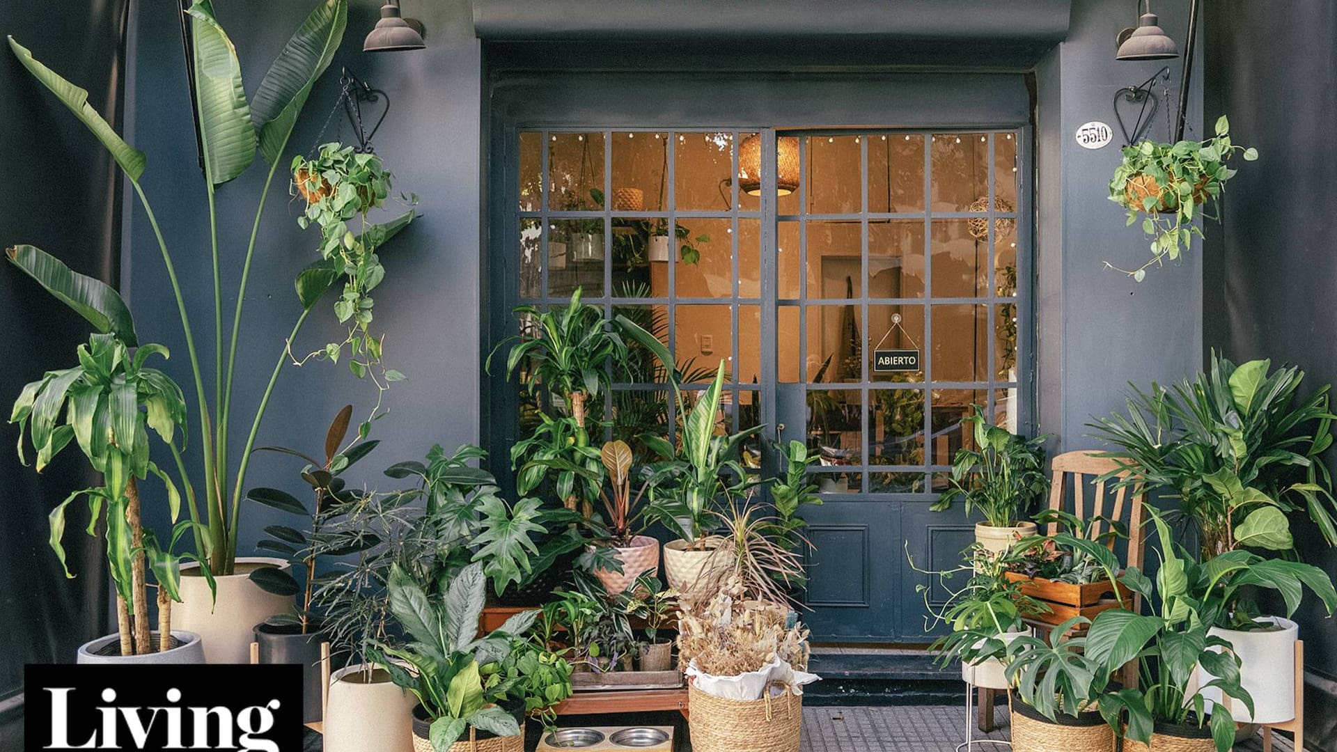 Creó un vivero boutique para que decorar con plantas fuera más sencillo