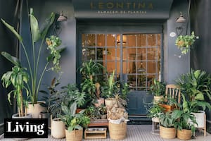 Quería que decorar con plantas fuera más sencillo y creó una tienda con las favoritas del momento
