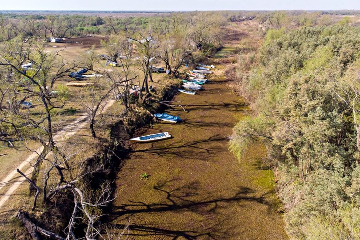 Cambio climático. Por qué la crisis del Río Paraná también está relacionada con los incendios