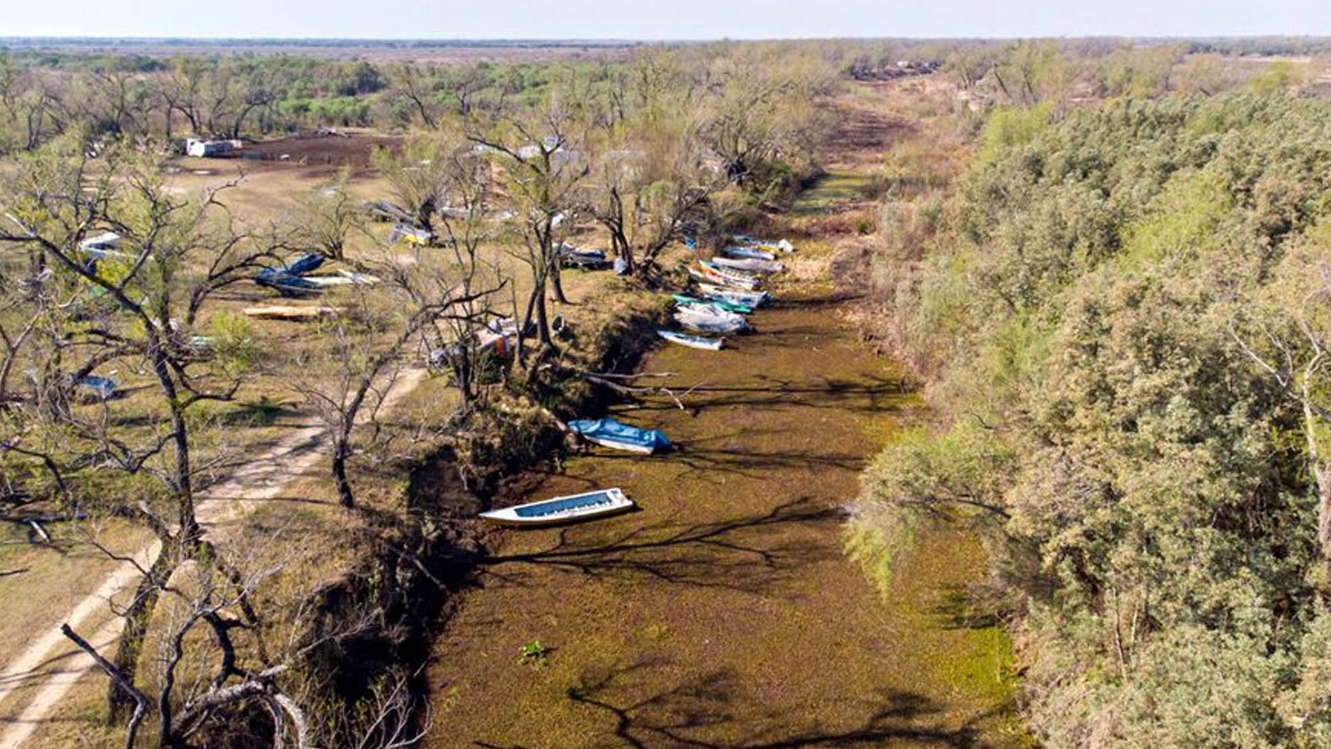 Cambio climático. Por qué la crisis del Río Paraná también está relacionada con los incendios