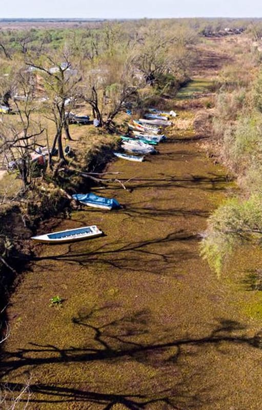 Cambio climático. Por qué la crisis del Río Paraná también está relacionada con los incendios