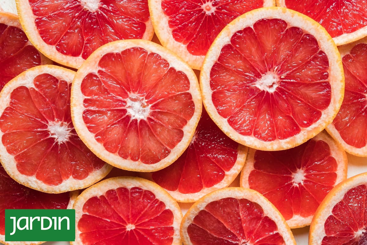 La fruta de la huerta que protege contra la diabetes y es ideal para empezar el día