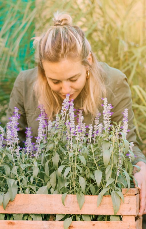 Una a una, todas las claves para transformar tu jardín en un festín para el olfato