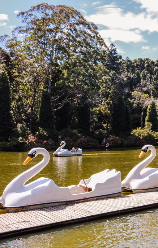 Gramado y Canela: donde Brasil festeja la Pascua y Navidad con espíritu alpino