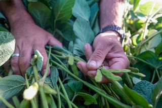 una tecnología gana terreno y crece más de 40% en una campaña