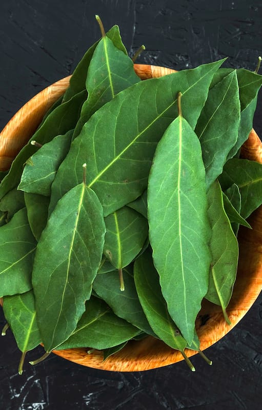 Receta de las abuelas para hacer insecticida casero con hojas de laurel