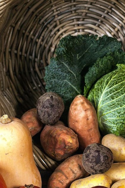 Dónde comprar frutas y verduras agroecológicas a buen precio