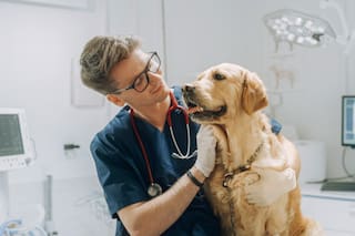 Una nueva opción para cuidar a las mascotas y anticipar gastos