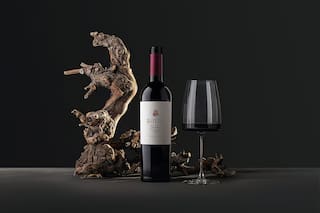 El único vino argentino entre los 50 mejores del mundo es un Malbec de Gualtallary