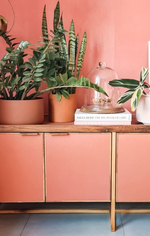 Plantas de interior que transforman la casa: decoración, tendencias y bienestar