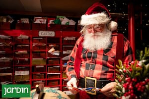 Tenían un vivero, una gran venta no se concretó y para salir del paso tuvieron una idea que se convirtió en boom navideño