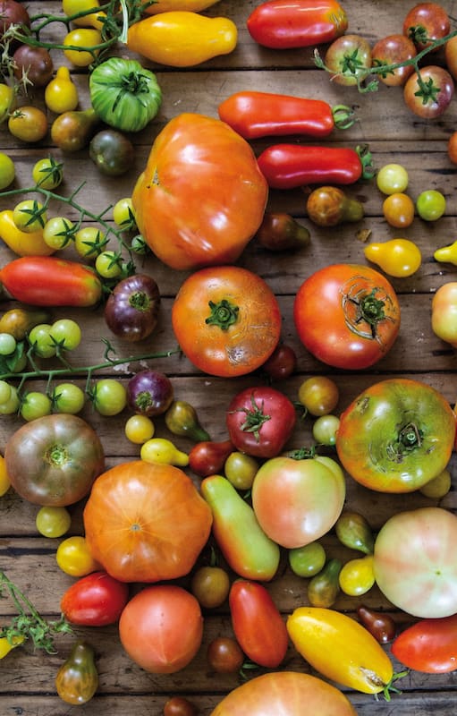 Los tomates gourmet preferidos de los cocineros top