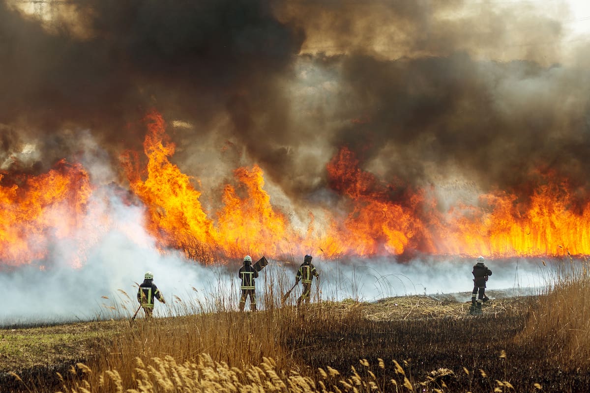 Satellites On Fire: el innovador sistema de detección y alerta de incendios forestales