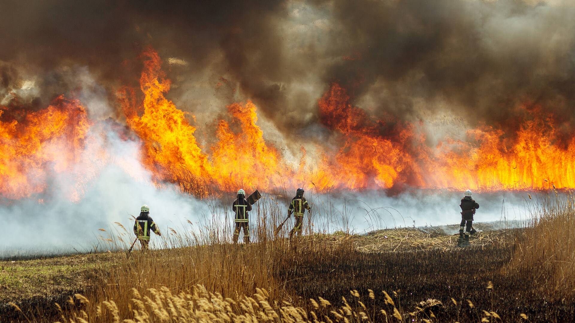 Satellites On Fire: el innovador sistema de detección y alerta de incendios forestales