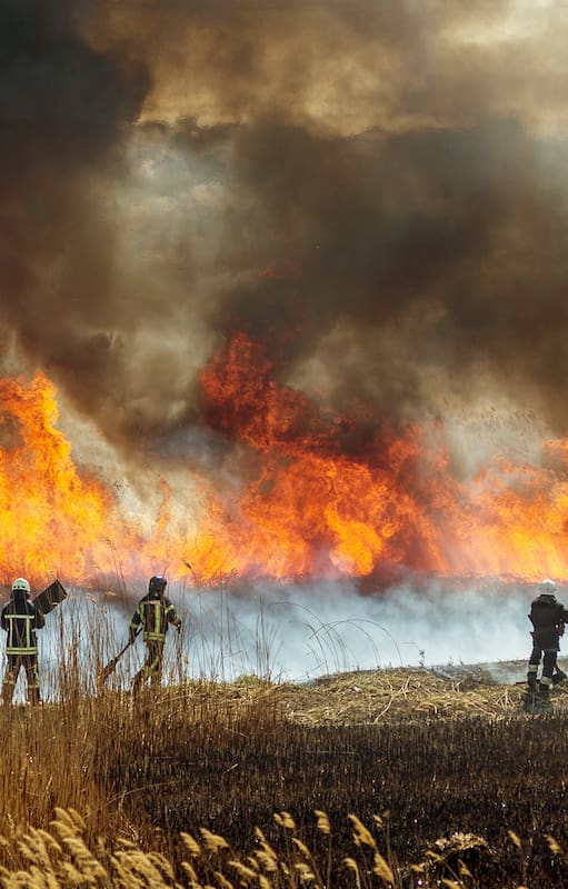 Satellites On Fire: el innovador sistema de detección y alerta de incendios forestales