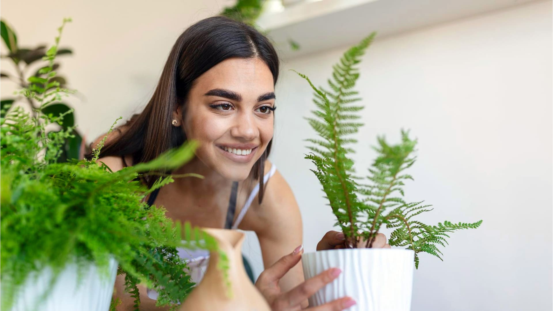 Cómo saber si el aire acondicionado está dañando mis plantas de interior