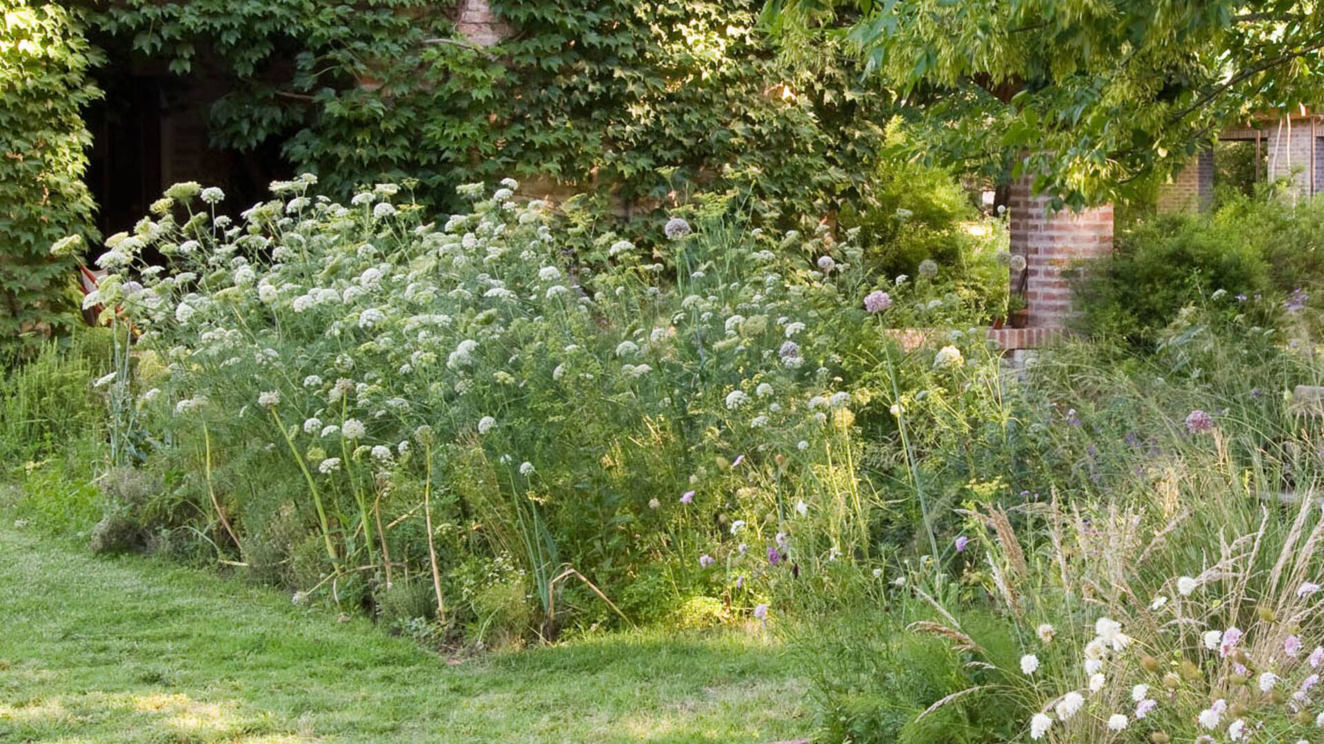 Jardín orgánico: cómo mantener tus plantas sanas con métodos naturales