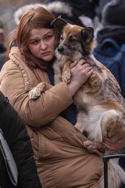 Nastya Kononchuk sostiene a Molly, su bulldog francés de 8 meses, después de huir del conflicto de la vecina Ucrania en la frontera rumano-ucraniana