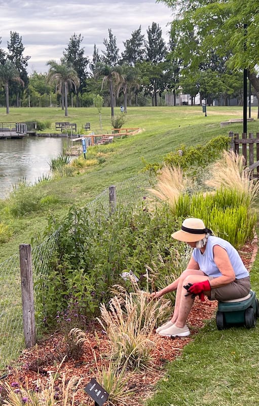 Las cinco especies que no fallan en jardines que dan a la laguna