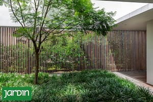 Cómo transformar este problema en una excelente oportunidad para tu jardín